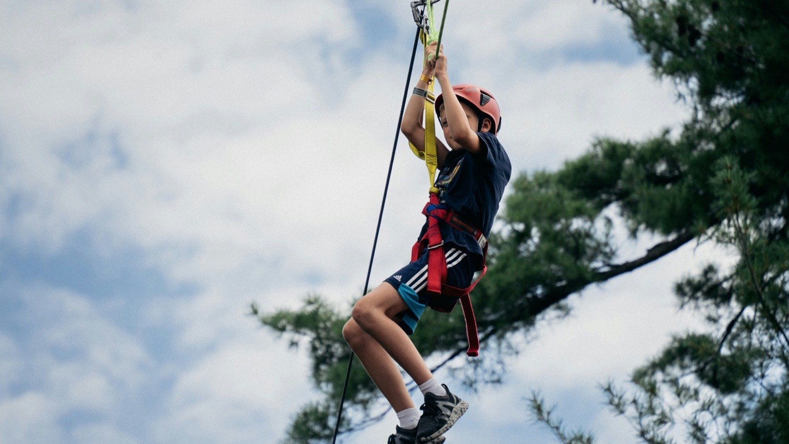 A rider on a zipline through the treetops